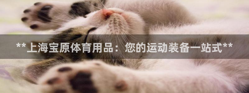 欧陆娱乐是正规平台吗安全吗可靠吗：**上海宝原体育用