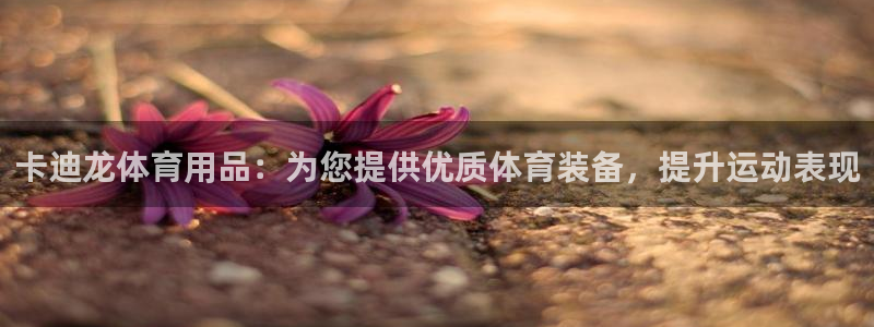 欧陆娱乐app下载安装：卡迪龙体育用品：为您提供优质