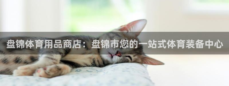 欧陆娱乐平台登录不上去了：盘锦体育用品商店：盘锦市您