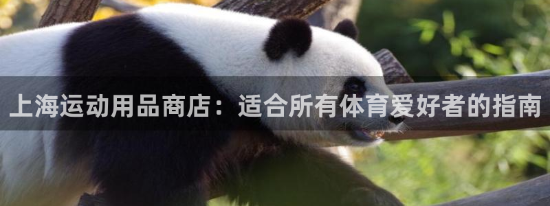 欧陆娱乐是真的吗：上海运动用品商店：适合所有体育爱好