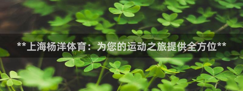 欧陆娱乐登录平台官网：**上海杨洋体育：为您的运动之