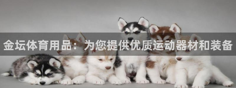 欧陆娱乐线路测速