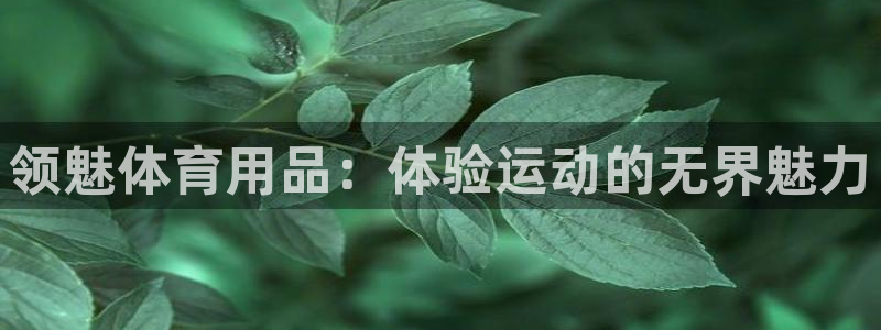 欧陆娱乐能不能玩手游：领魅体育用品：体验运动的无界魅
