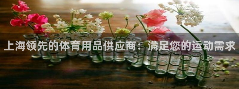 欧陆娱乐平台咋样啊知乎：上海领先的体育用品供应商：满