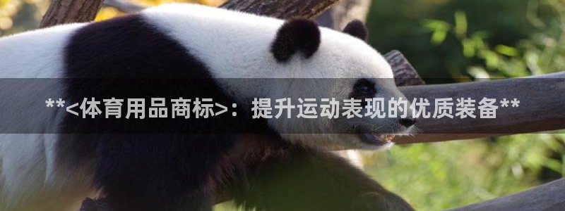 欧陆娱乐稳中：**<体育用品商标>：提升运动表现的优