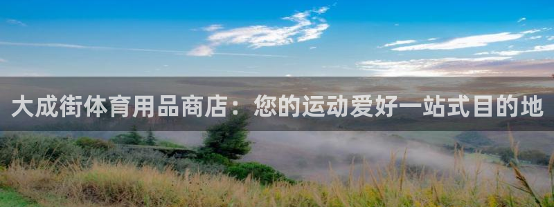 欧陆娱乐简介：大成街体育用品商店：您的运动爱好一站式