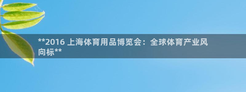 欧陆娱乐官方网站：**2016 上海体育用品博览会：