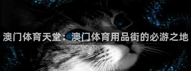 欧陆娱乐脚本：澳门体育天堂：澳门体育用品街的必游之地