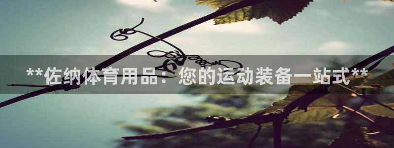 欧陆平台：**佐纳体育用品：您的运动装备一站式**