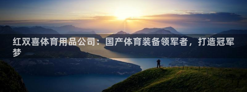 欧陆娱乐能不能玩手游：红双喜体育用品公司：国产体育装