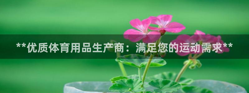 欧陆娱乐是干什么的：**优质体育用品生产商：满足您的