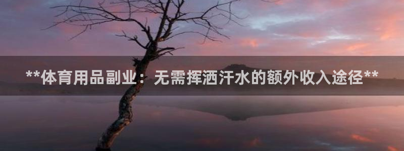 欧陆娱乐平台登录不上去：**体育用品副业：无需挥洒汗