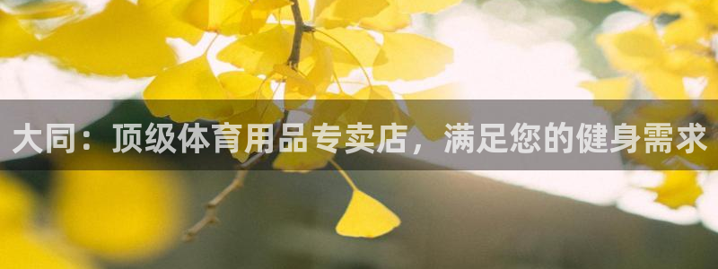 欧陆娱乐官网首页网址：大同：顶级体育用品专卖店，满足