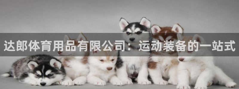 欧陆娱乐是那个旗下的品牌公司：达郎体育用品有限公司：