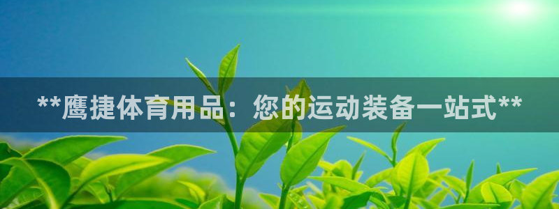 欧陆娱乐怎么样：**鹰捷体育用品：您的运动装备一站式**