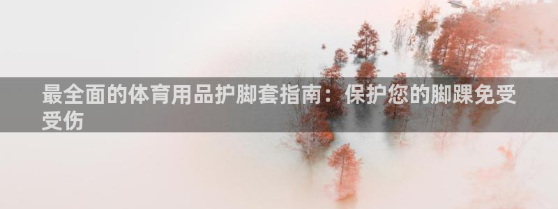 欧陆娱乐平台咋样赚钱的：最全面的体育用品护脚套指南：