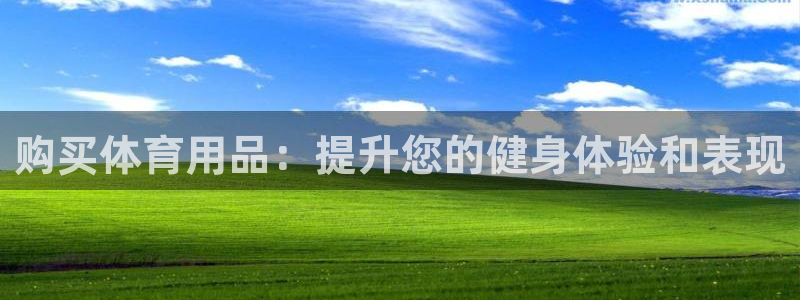 欧陆娱乐平台登陆地址在哪里：购买体育用品：提升您的健