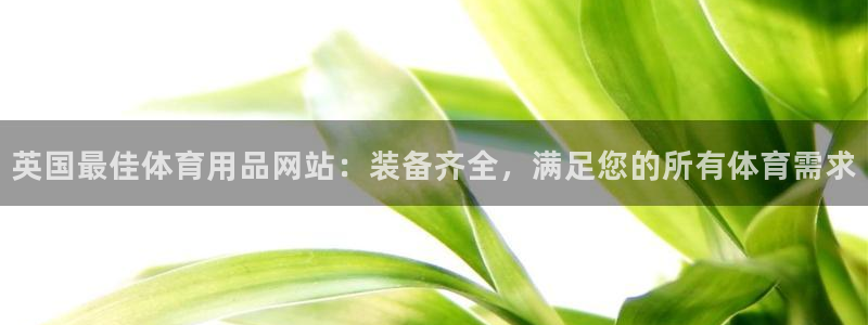 欧陆娱乐代理多少个点位合适：英国最佳体育用品网站：装