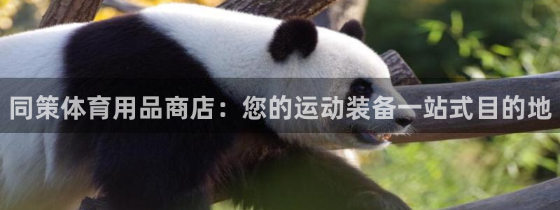 欧陆娱乐测试网站：同策体育用品商店：您的运动装备一站