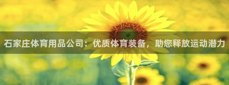 欧陆娱乐注册链接安全吗：石家庄体育用品公司：优质体育