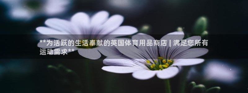 欧陆娱乐推广奖金多少：**为活跃的生活奉献的英国体育