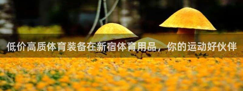 欧陆娱乐怎么注册账号登录：低价高质体育装备在新宿体育