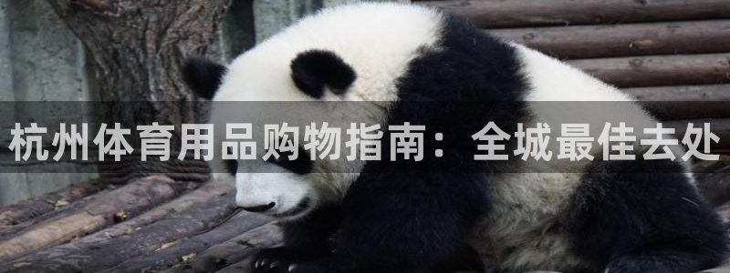 欧陆娱乐不让提现吗：杭州体育用品购物指南：全城最佳去处
