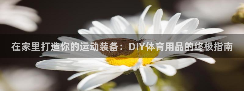 欧陆娱乐测试：在家里打造你的运动装备：DIY体育用品
