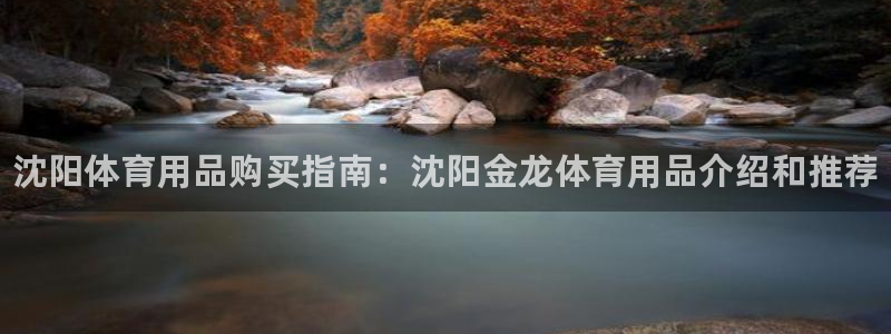 欧陆娱乐官网下载安装最新版：沈阳体育用品购买指南：沈