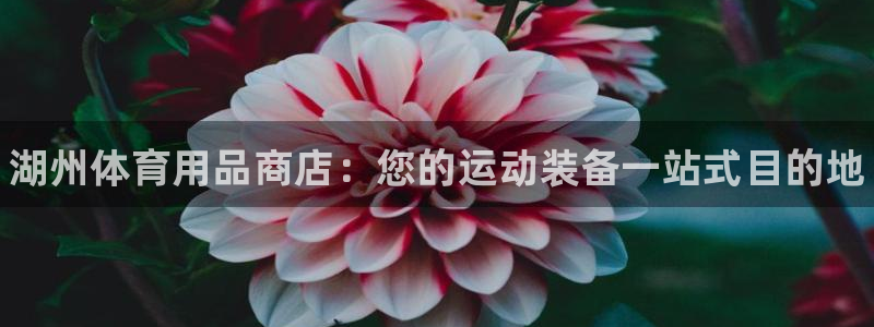 欧陆娱乐计划预测软件：湖州体育用品商店：您的运动装备