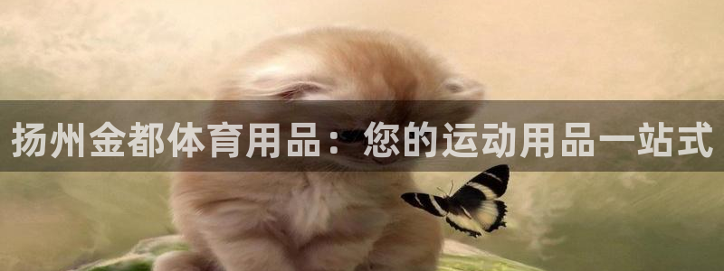 欧陆娱乐测速软件下载：扬州金都体育用品：您的运动用品