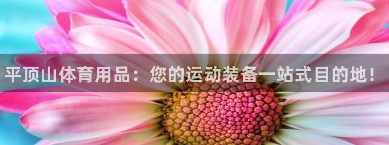 欧陆娱乐客服电话：平顶山体育用品：您的运动装备一站式