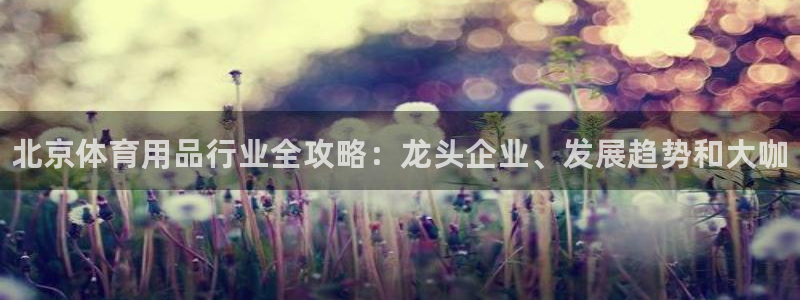 欧陆娱乐脚本怎么用：北京体育用品行业全攻略：龙头企业