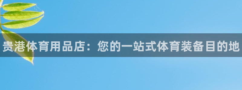 欧陆娱乐平台咋样赚钱：贵港体育用品店：您的一站式体育
