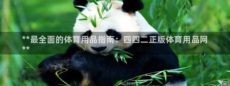 欧陆娱乐中国：**最全面的体育用品指南：四四二正版体