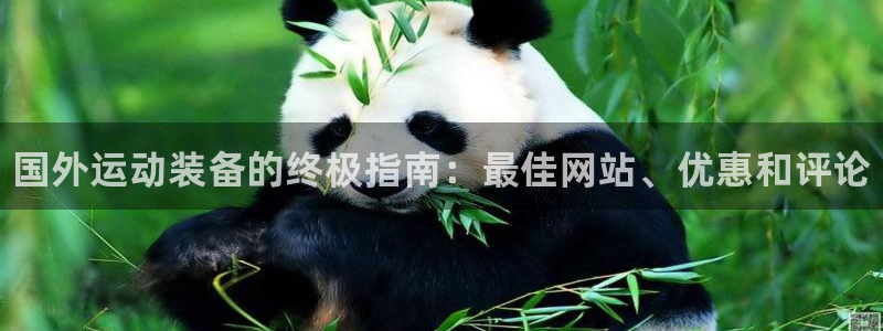 欧陆娱乐可以退钱吗安全吗：国外运动装备的终极指南：最