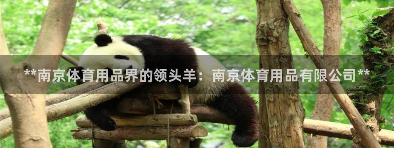 欧陆娱乐的故事有哪些：**南京体育用品界的领头羊：南