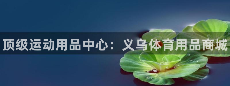 欧陆娱乐官网下载安装手机版：顶级运动用品中心：义乌体育用品商