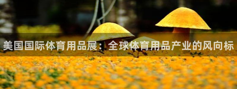 欧陆娱乐平台总代理：美国国际体育用品展：全球体育用品产业的风