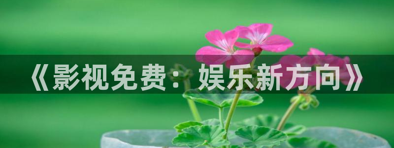 色婷婷电影院：《影视免费：娱乐新方向》