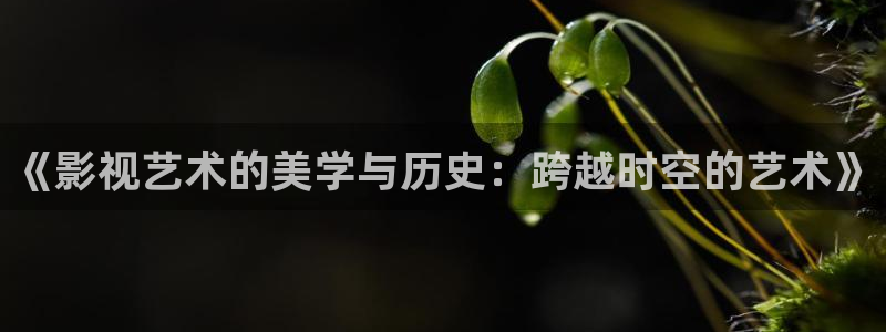 色婷婷在线影院：《影视艺术的美学与历史：跨越时空的艺术》
