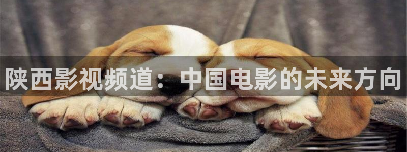色婷婷电影院：陕西影视频道：中国电影的未来方向