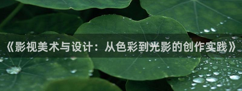 五月色婷婷在线影院：《影视美术与设计：从色彩到光影的创作实践》