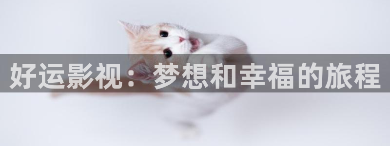 色婷婷影院十八影院：好运影视：梦想和幸福的旅程