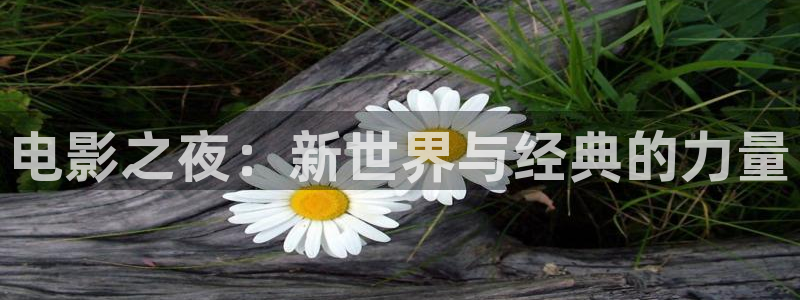 五月色婷婷影院在线：电影之夜：新世界与经典的力量