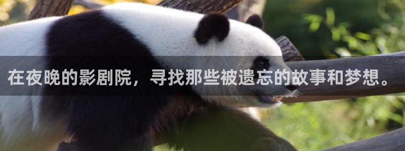 色婷婷电影网：在夜晚的影剧院，寻找那些被遗忘的故事和梦想。