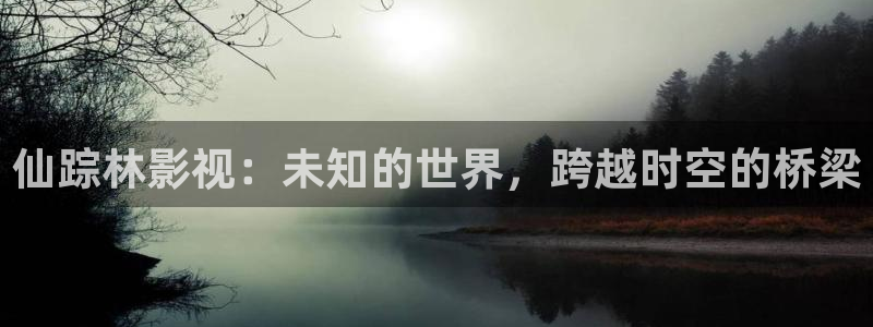 五月色婷婷在线影院：仙踪林影视：未知的世界，跨越时空的桥梁