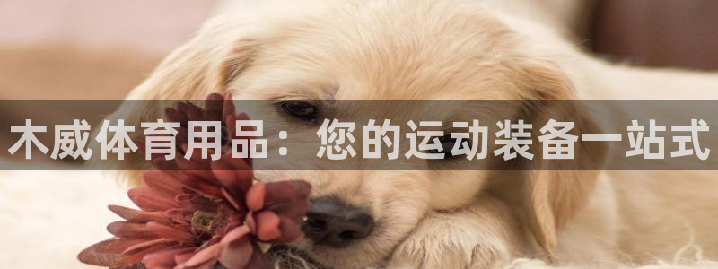 欧陆娱乐平台登录：木威体育用品：您的运动装备一站式