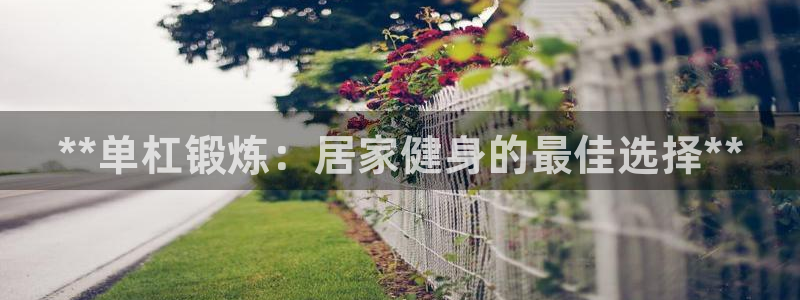 欧陆娱乐登录官网：**单杠锻炼：居家健身的最佳选择*