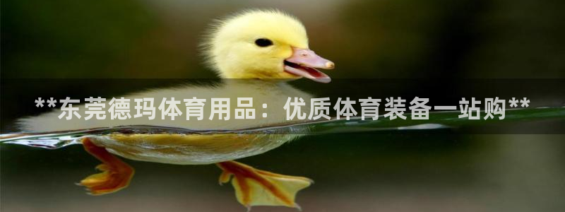 欧陆娱乐官方：**东莞德玛体育用品：优质体育装备一站
